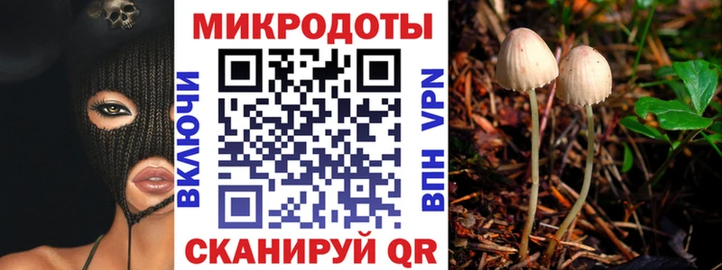 магазин    Свирск  Псилоцибиновые грибы ЛСД 